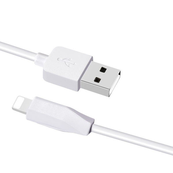 Hoco Fast Charging 3m Lightning Cable For iPhone - X1