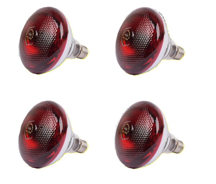 Chicken Pok Heat Light 250 Watt -pack of 4