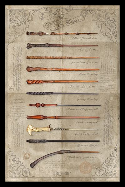 Harry Potter (Wand Chooses The Wizard) Poster Wi image