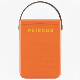 PEISKOS 10 Liter Insulated Cooler Box Camping Picnic Hard Cooler