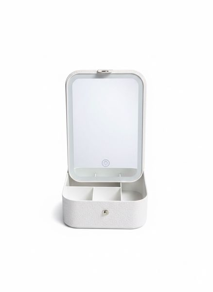 Professional LED Travel Makeup Organizer Case - White/pink Croc case