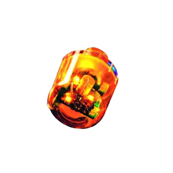 Auer Signal - 12VAC/DC Flashing LED Amber