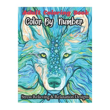 Adult Color By Number Coloring Book: Extreme Color by Numbers Intermediate  to Advanced (Paperback)
