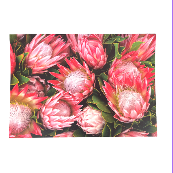 Disposable Paper Placemats with Protea Pattern