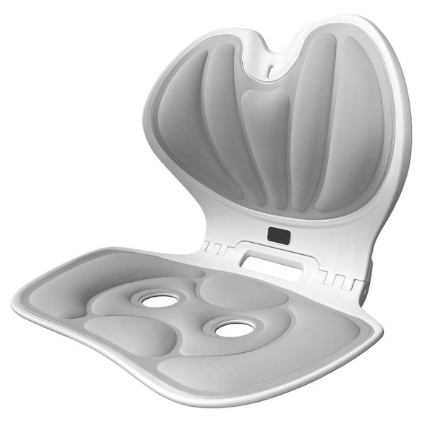 Foldable and Adjustable - Ergonomic Lumbar Support Pad