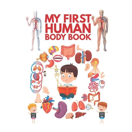 inside human body for kids