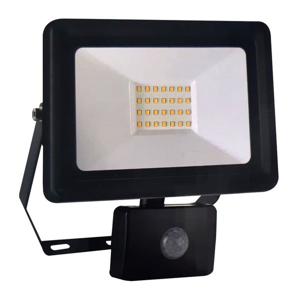Eagle Lighting Floodlight LED 30w 4000K Motion Sensor Black