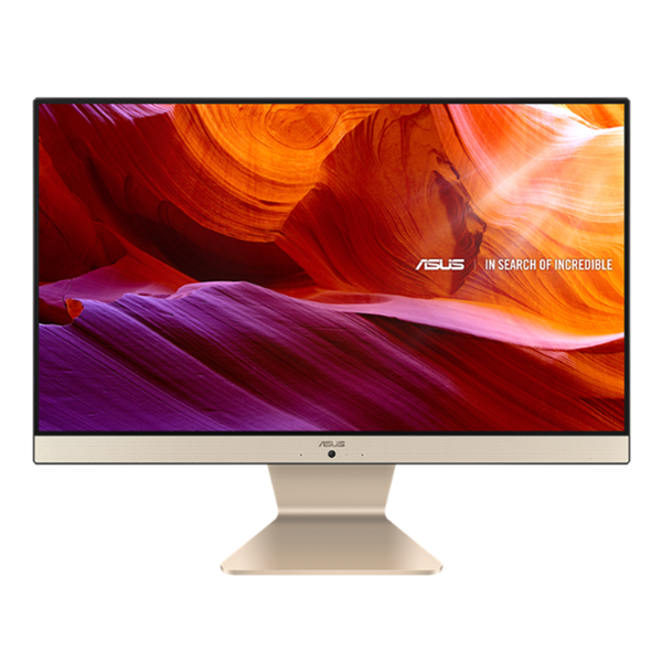 Asus V222FAK AIO Desktop PC/i3-10110U /8GB DDR4/128GB SSD+1TB HDD/21.5 inch
