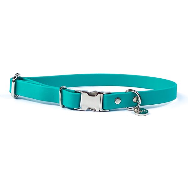 Waterproof Dog Collar - Turquoise