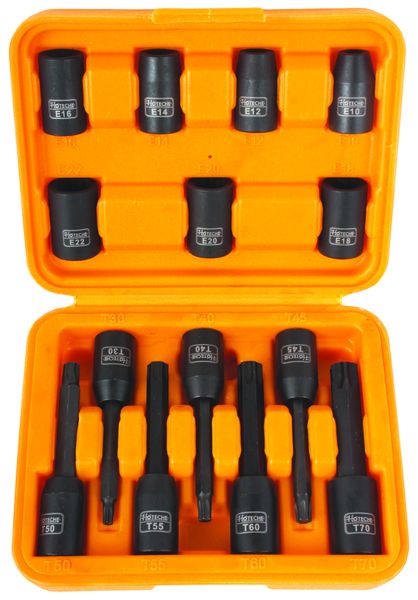 Hoteche 1/2 Inch Drive E-Socket and Torx Bit Set - 14 Pieces