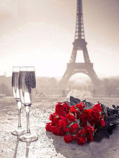 Diamond Painting DIY Full Drill - Red Roses in Paris 50x70cm