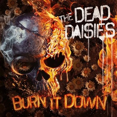 Burn It Down (Vinyl / 12" Album with CD)