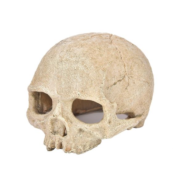 Skull Resin Decor Ornament For Fish Tank Aquariums &amp; Terrariums