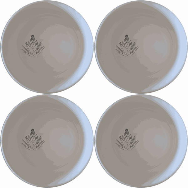 Aloe Ferox Flower Spike Bowl Set of 4 - Range 2