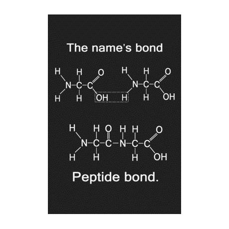 The Names Bond Peptide Bond: Funny Chemistry and Science Humor Notebook.  Great Gift for Teachers Professors and Students | Buy Online in South  Africa 