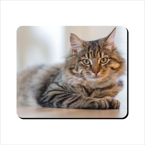 Mouse Pad - Lazy Cat