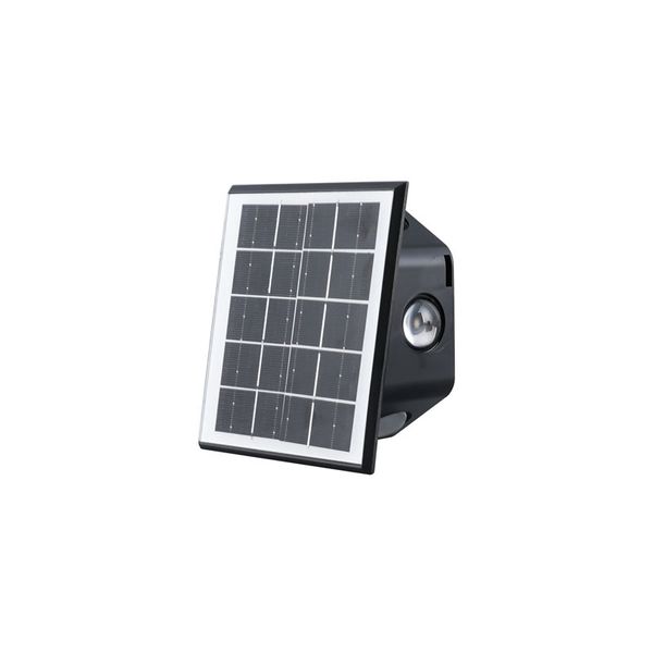 Solar Decorative Outdoor Garden Light