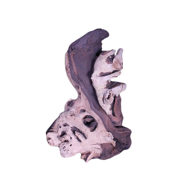 Mopane Root (Small)