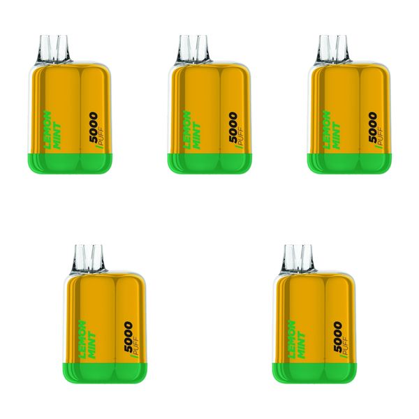 Bolt 5000 Puff Disposable Vape 50MG - Lemon Mint (Pack of 5)
