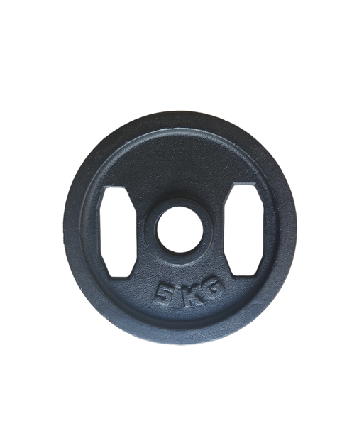 Olympic Cast Iron Plates - Dual Grip Handle