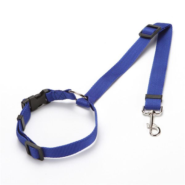 Dog Leash, Durable, Traditional Style Leash with Easy to Use Bolt Snap