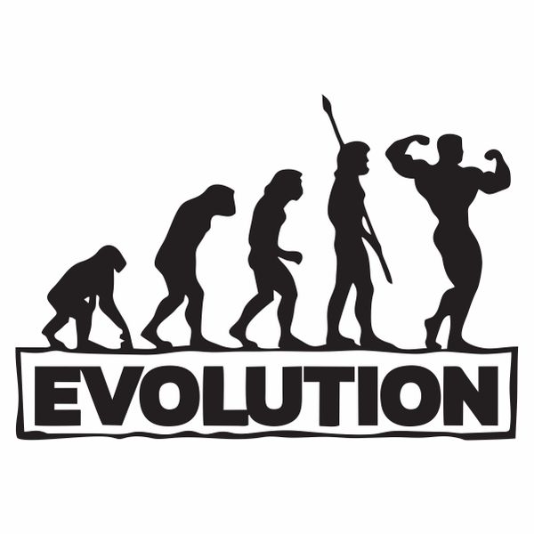 Evolution Bodybuilding Wall Art