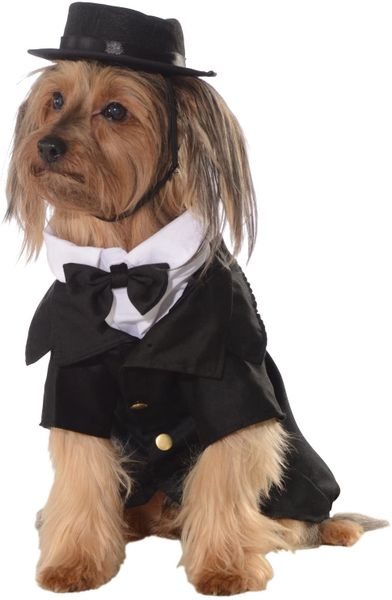 Formal Dapper Pet Costume with Top Hat