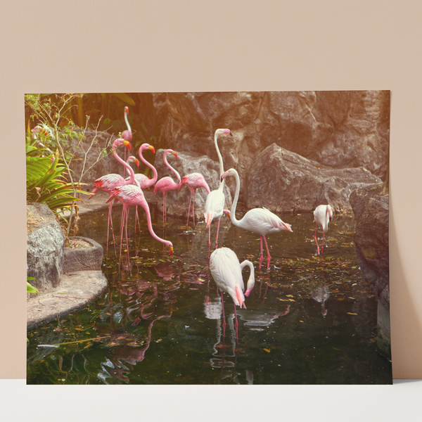 Pink Flamingos Wall Print