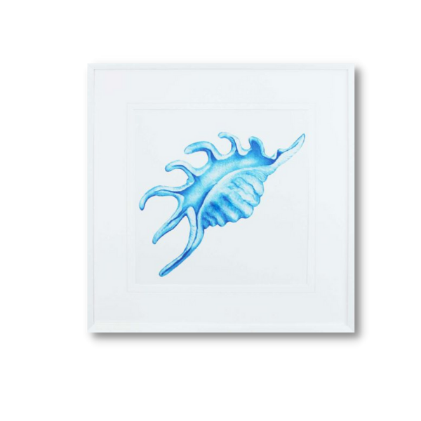 Framed Print - Blue Sea Shell IV - 620x620mm