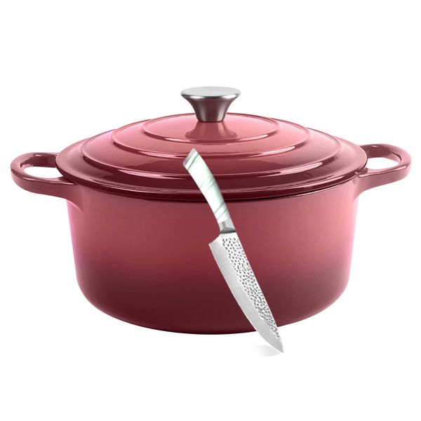 24cm - Large Beautiful Modern Casserole Cast Iron Pots with Utility Knife