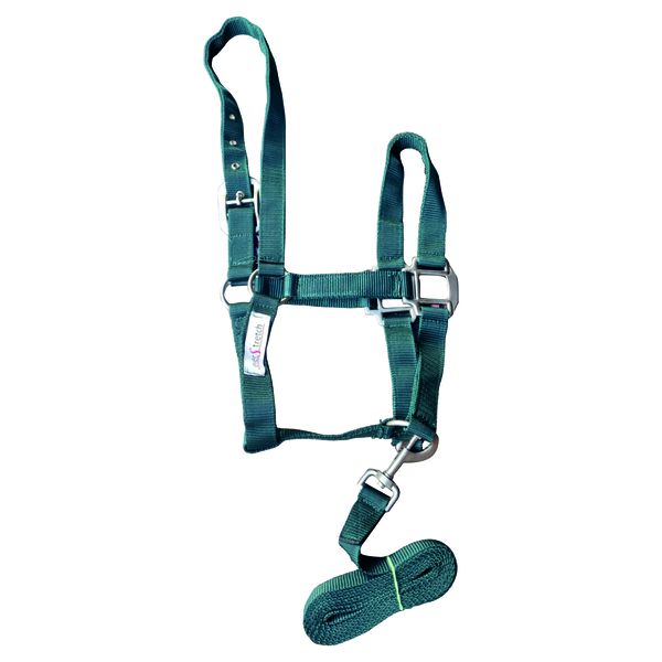 EverStretch - Nylon Halter + 2M Lead Rope Olive Green