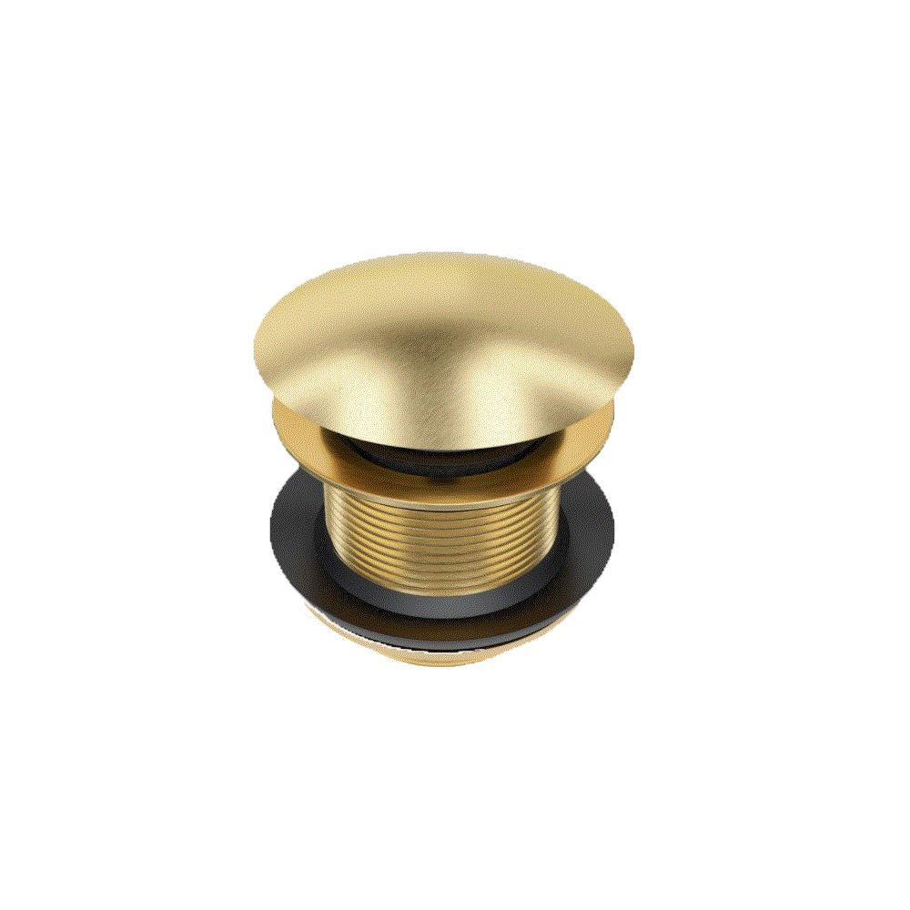 Brushed Gold Bath Pop-Up Plug | Shop Today. Get it Tomorrow! | takealot.com