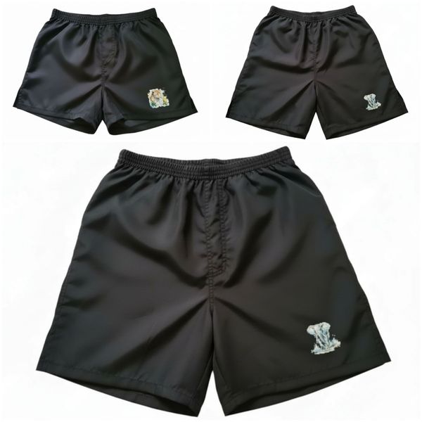 MMA Shorts - Primal Power