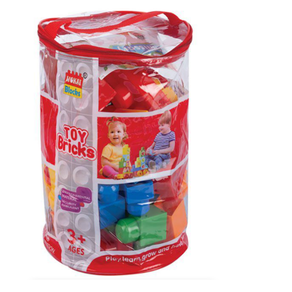 50 Piece Building Block Set With Plastic Bag