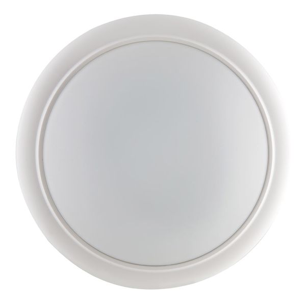 Eurolux Bulkhead Round White 15W 4000K