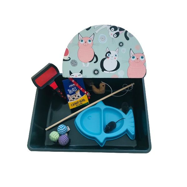 Cat Scratcher, Litter Pan, Toys, Collar, Bowl, Brush &amp; Catnip Starter Pack