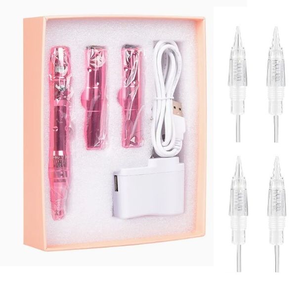 Professional Tattoo and PMU Machine with 4 PMU Cartridges