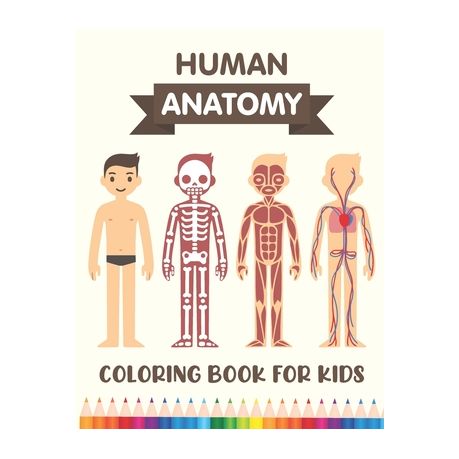 Download Human Anatomy Coloring Book For Kids Over 30 Human Body Parts Coloring Book Human Body For Kids Brain Heart Lungs Coloring Books 4 8 Years Ol Buy Online In South Africa Takealot Com