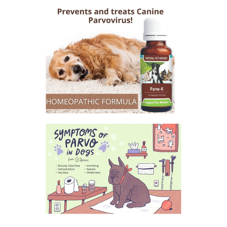 Parvovirus remedy best sale