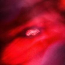 The Faded Orbit (Vinyl / 12" Album)