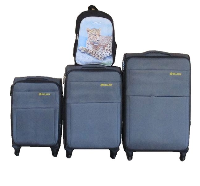 3-Piece Grey Fabric Luggage Set with Spinner Wheels &amp; Leopard Backpack