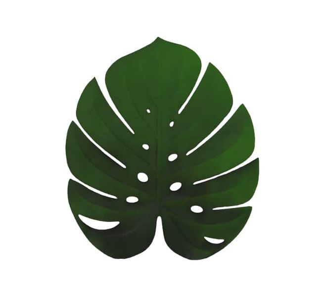 Leaf Table Mat Green x 4