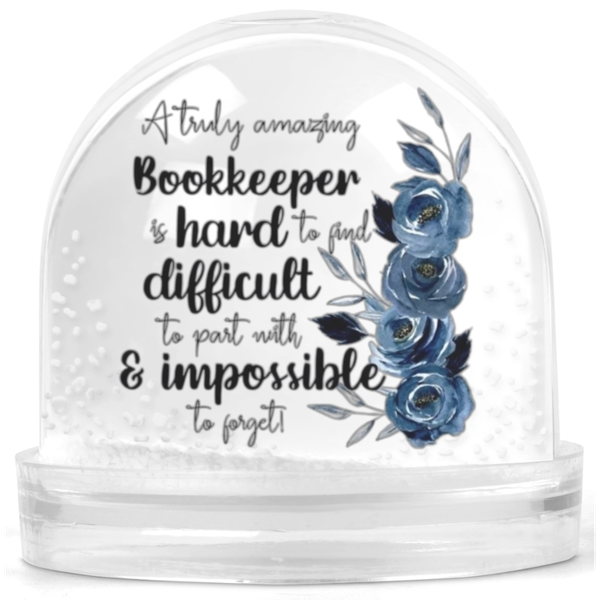 A Truly Amazing Bookkeeper Gift Snow Globe