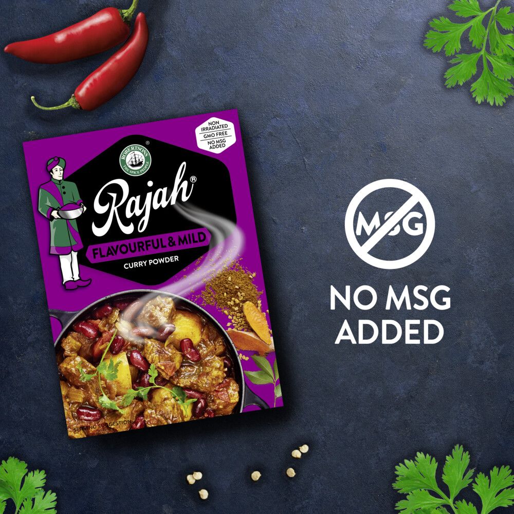 ROBERTSONS RAJAH Flavourful and Mild Curry Powder 100g Shop