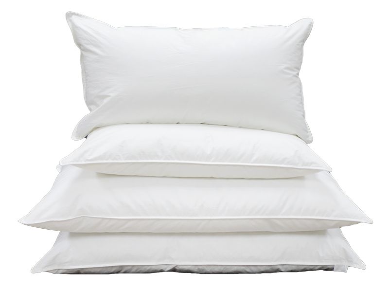 Pillow Inner -Polyester 90GSM with Ball Fibre -Regular -Hypoallergenic,Soft