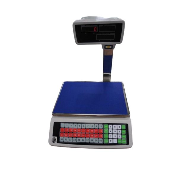 50 Kg Digital Computing scale with Tag print function