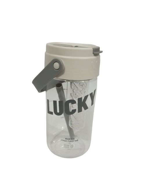 Lucky 500ml Water Bottle