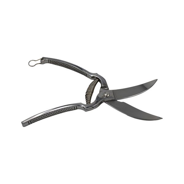 Batil Stainless Steel Poultry Scissors