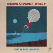 Joy in Bewilderment (CD / Album)