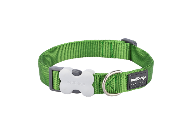 Red Dingo Classic Collar - Classic Green